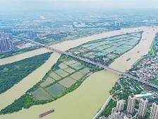 改造5000亩池塘，全力创建国家级水产健康养殖示范县｜顺德两会