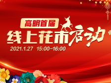 逛高明线上花市，享年花销售新模式