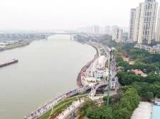 单项最高投资约43亿元，今年十大民生实事你pick哪个？｜顺德两会