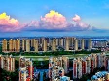 开局第一路线图，三水为何选择“七大行动”？| 三水两会