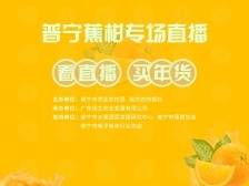 优惠抢购普宁“柑橘皇后”！大吉大利，今天吃柑