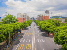 3951公里农村公路带动乡村振兴，佛山争创全国“四好农村路”示范市