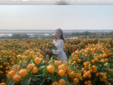 【视频】徐闻菠萝妹妹的年货清单来了！关于年桔，看她如何推荐