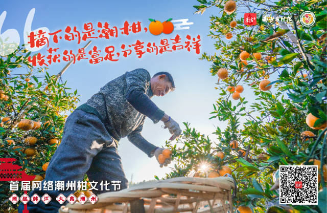 新年将至,献上一对潮州柑,祝您新年“大吉”大利