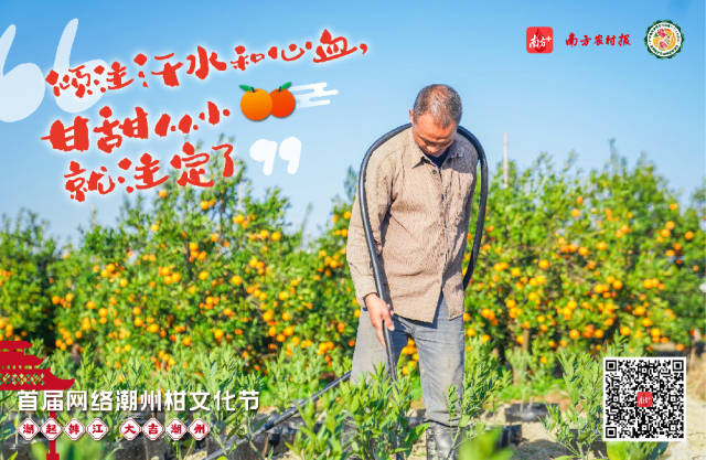 新年将至，献上一对潮州柑，祝您新年“大吉”大利