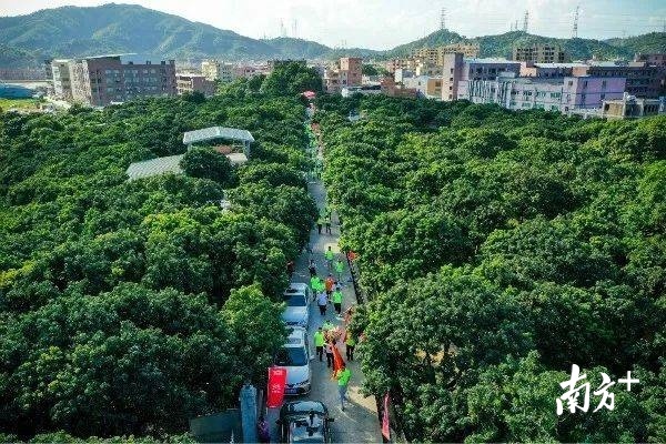 作为临深镇区，学习借鉴经济特区建设已经积累和不断创造的宝贵经验，樟木头将加快打造深莞深度融合发展的精彩板块。起而行之、创新实干，以改革开放再出发的豪情壮志开创樟木头各项工作新局面。