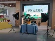 花农先锋：各方发力，助广州白云燊之源罗汉松2周销售额破200万元！