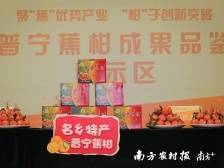 “云”上助力！今天，一起为“柑桔皇后”普宁蕉柑打call