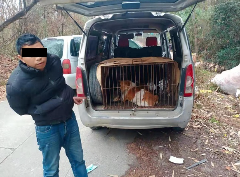 韶关市区周边有人组团偷狗?浈江公安一举打掉