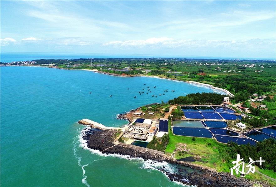 湛江经开区硇洲岛上的广东省水生野生动物救护基地，这里也是剧集《隐秘的角落》取景地。李文超 梁海涯 摄