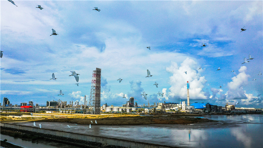 中科炼化致力打造绿色低碳循环经济新标杆，项目环境保护设计以清洁生产为原则。聂冬生 摄