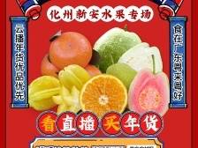 直击味蕾！化州新安特色农产品集体亮相广东网络年货节