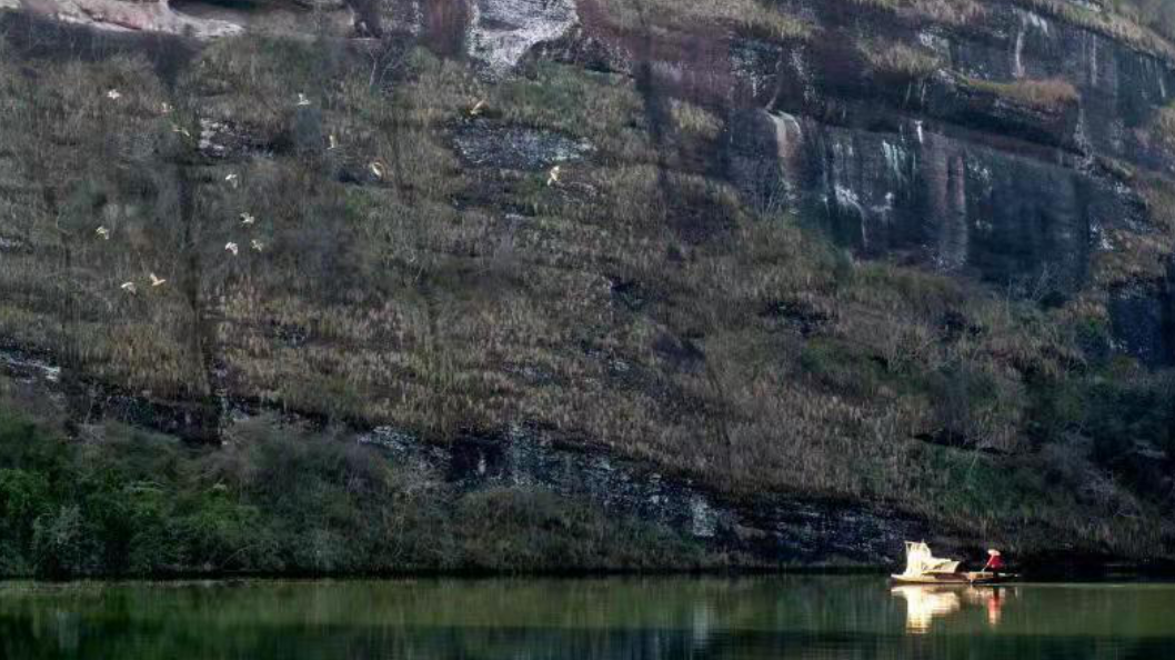 韶关丹霞山自然保护区:良好生态环境 候鸟变留鸟