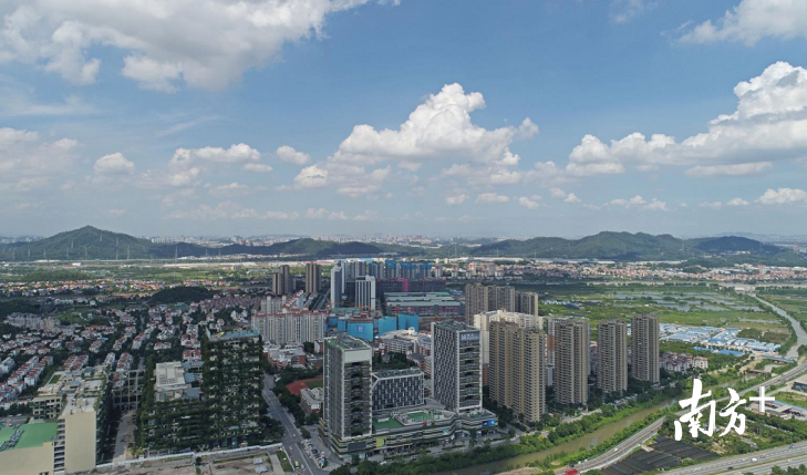 碧桂园总部及附近的机器人谷。戴嘉信 摄