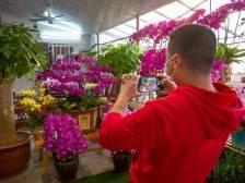 立春日，“一区多点”花市正繁忙