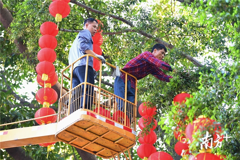 工作人员通过云梯悬挂灯笼。杨兴乐摄