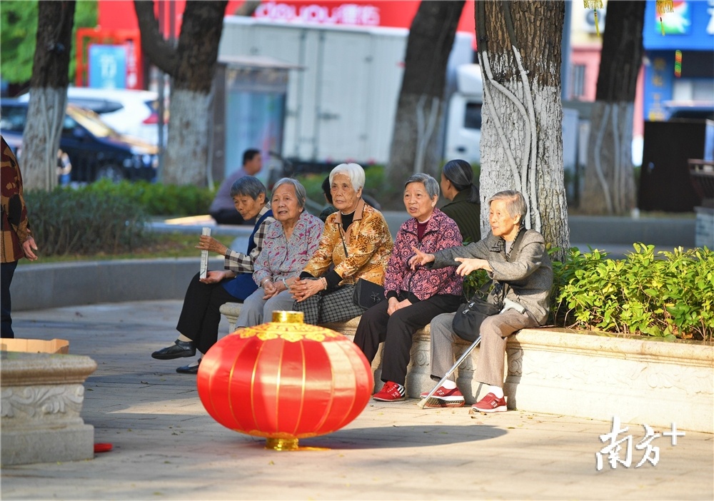 婆婆们说，今年的灯笼好大啊！杨兴乐摄