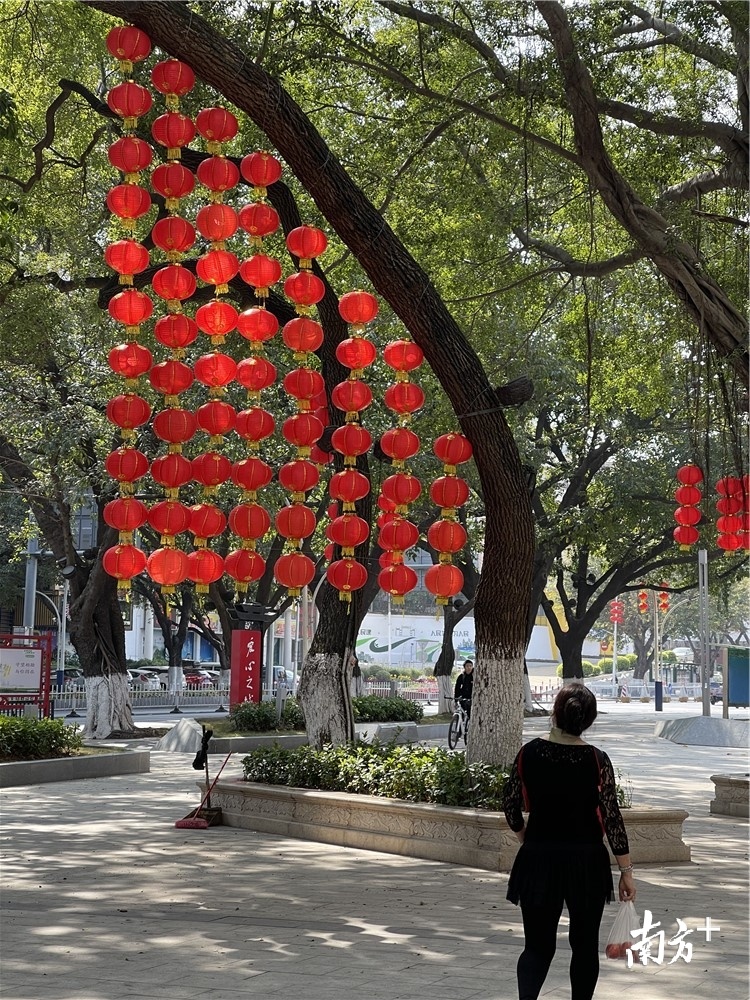 这一树灯笼挂出了“满格信号”的观感。杨兴乐摄