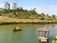 建设亲子教育基地和山顶步道！香山湖公园四期9月开放