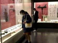 春节“馆”里过，50个线下展览+14个线上展览免费开放