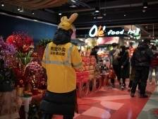 就地过年带动年夜饭搜索量涨2倍，品质餐厅春节近7成营业