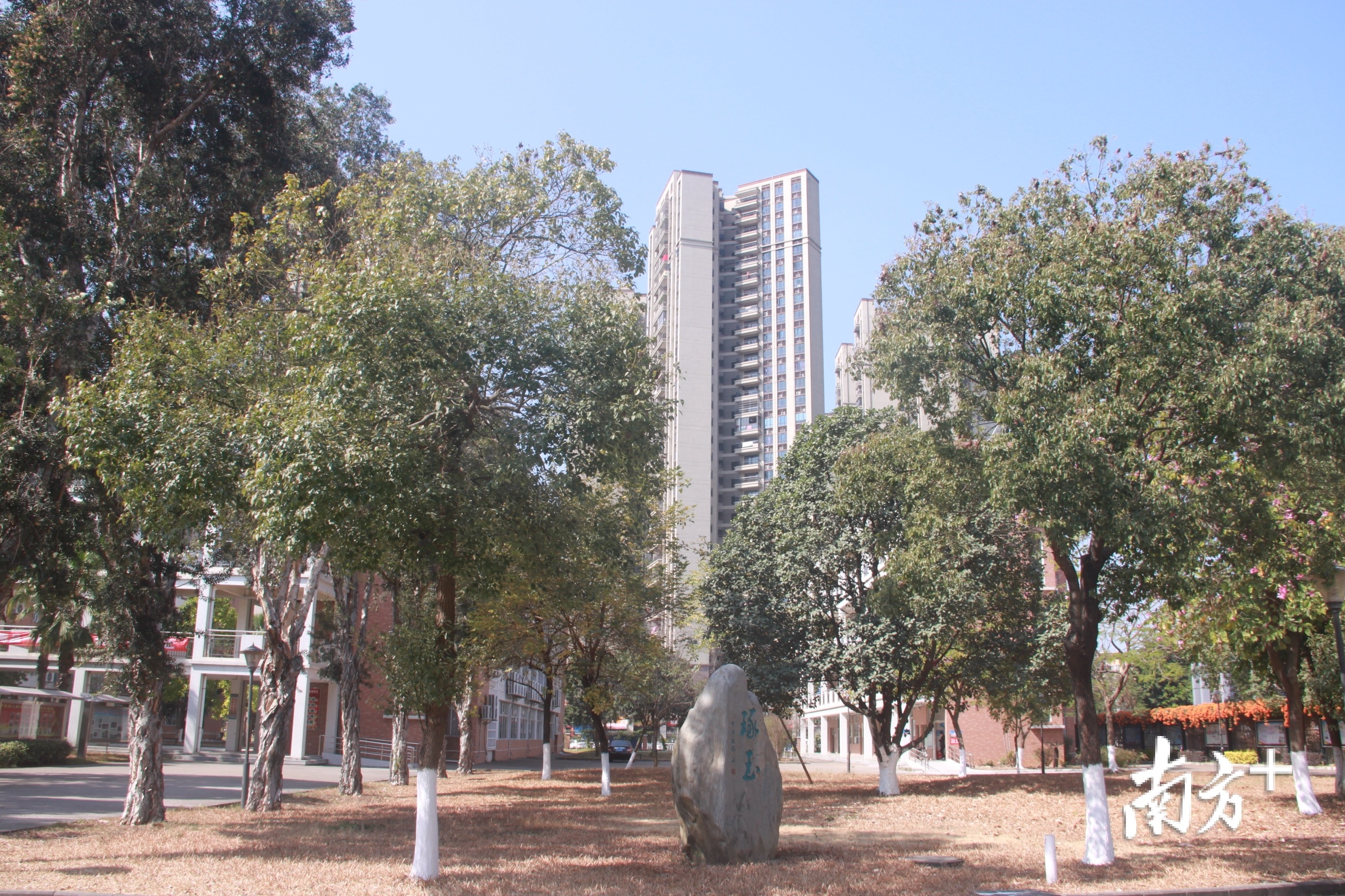 伦教是顺德区教育先进镇，将以村改精神提速教育基建。