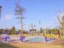 留珠过年！体育大礼包来了