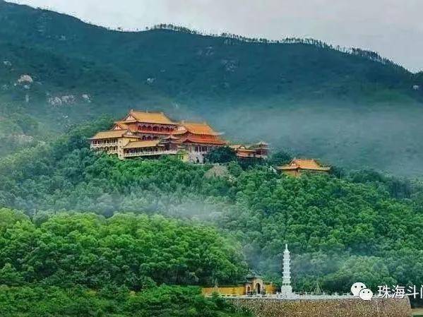 周知！金台寺春节期间暂停开放…