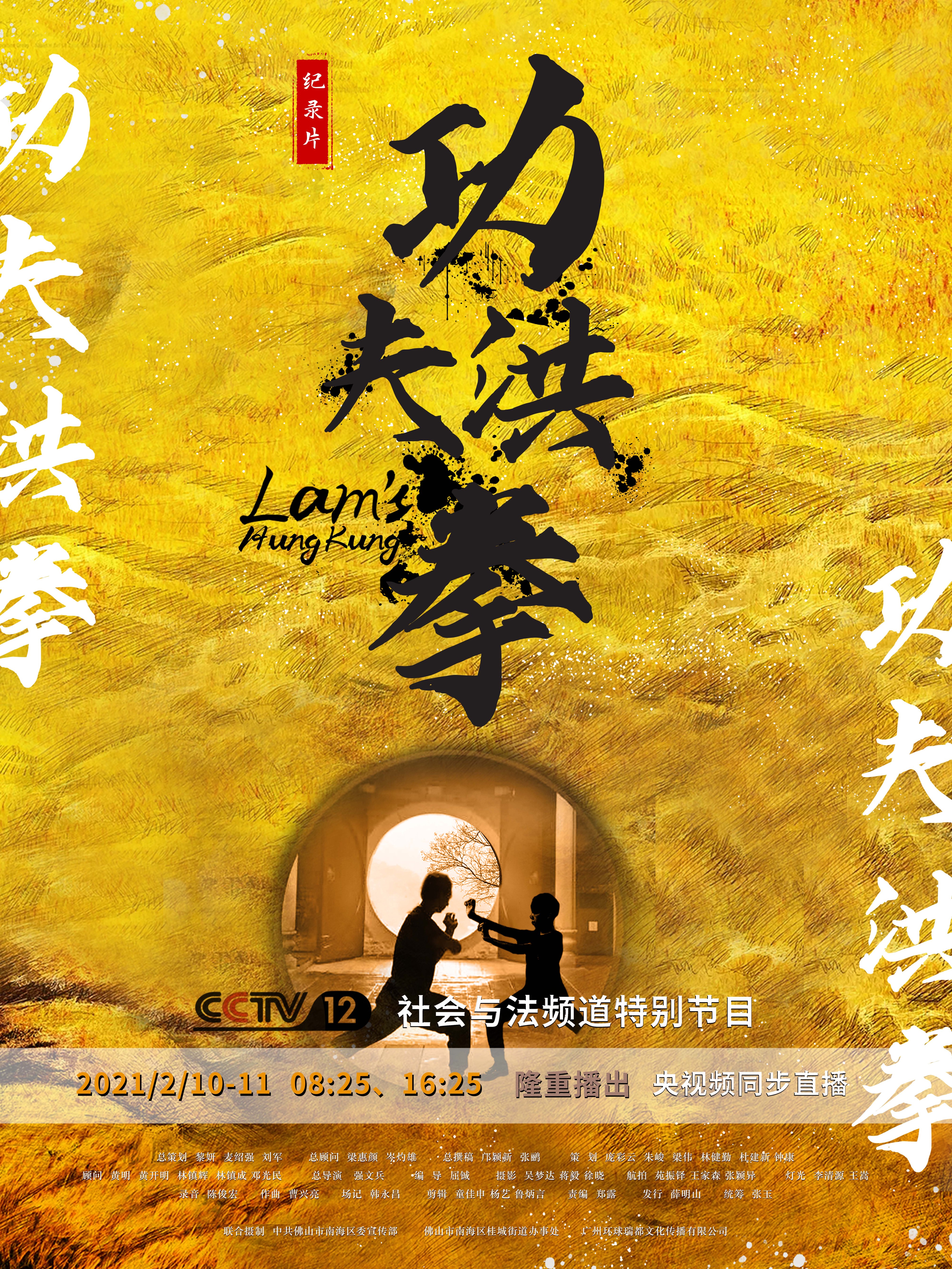 功夫洪拳海报。受访者供图