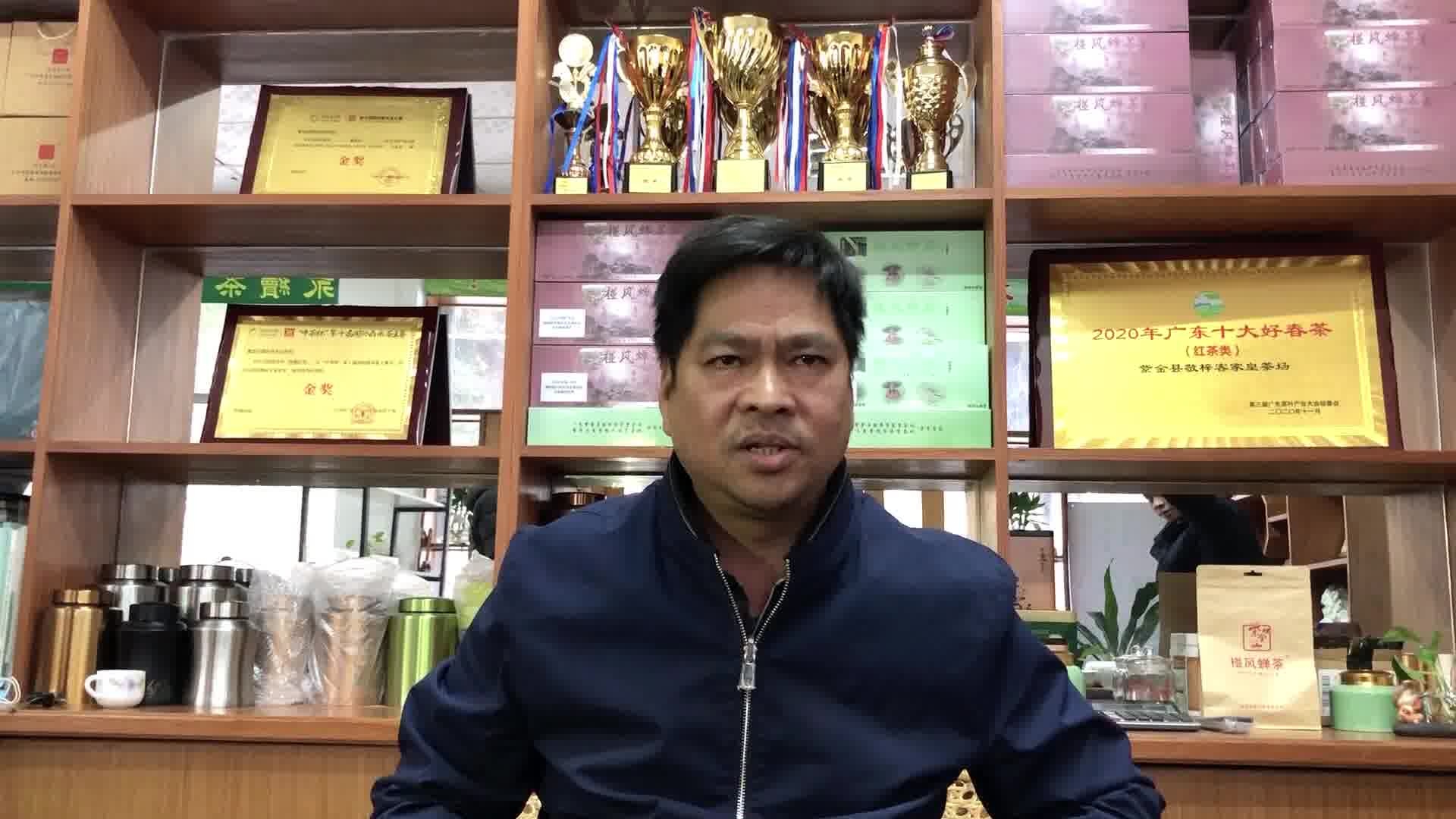 大茶场 紫金蝉茶蜜香万家”⑨ 敬梓客家皇茶场：东方美人映桃红跻身蝉茶精品前茅_南方plus_南方+
