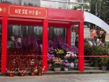 赏花购花哪里去？一图掌握！天河“年味”打卡地图来了