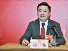 委员孙杨：成立南海区民宿文化协会，加快民宿产业发展丨南海两会