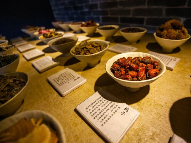 珠海首家!免费开放!春节期间又一个好去处…