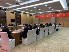 岑灼雄：强中心、强产业、强配套是桂城2021发展关键词丨南海两会