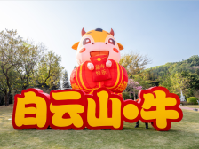 @广州市民，来云台花园，看郁金香！