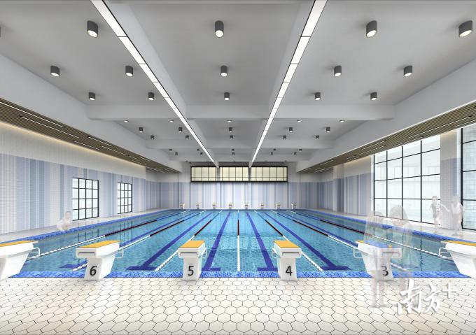 恒温泳池。校方供图