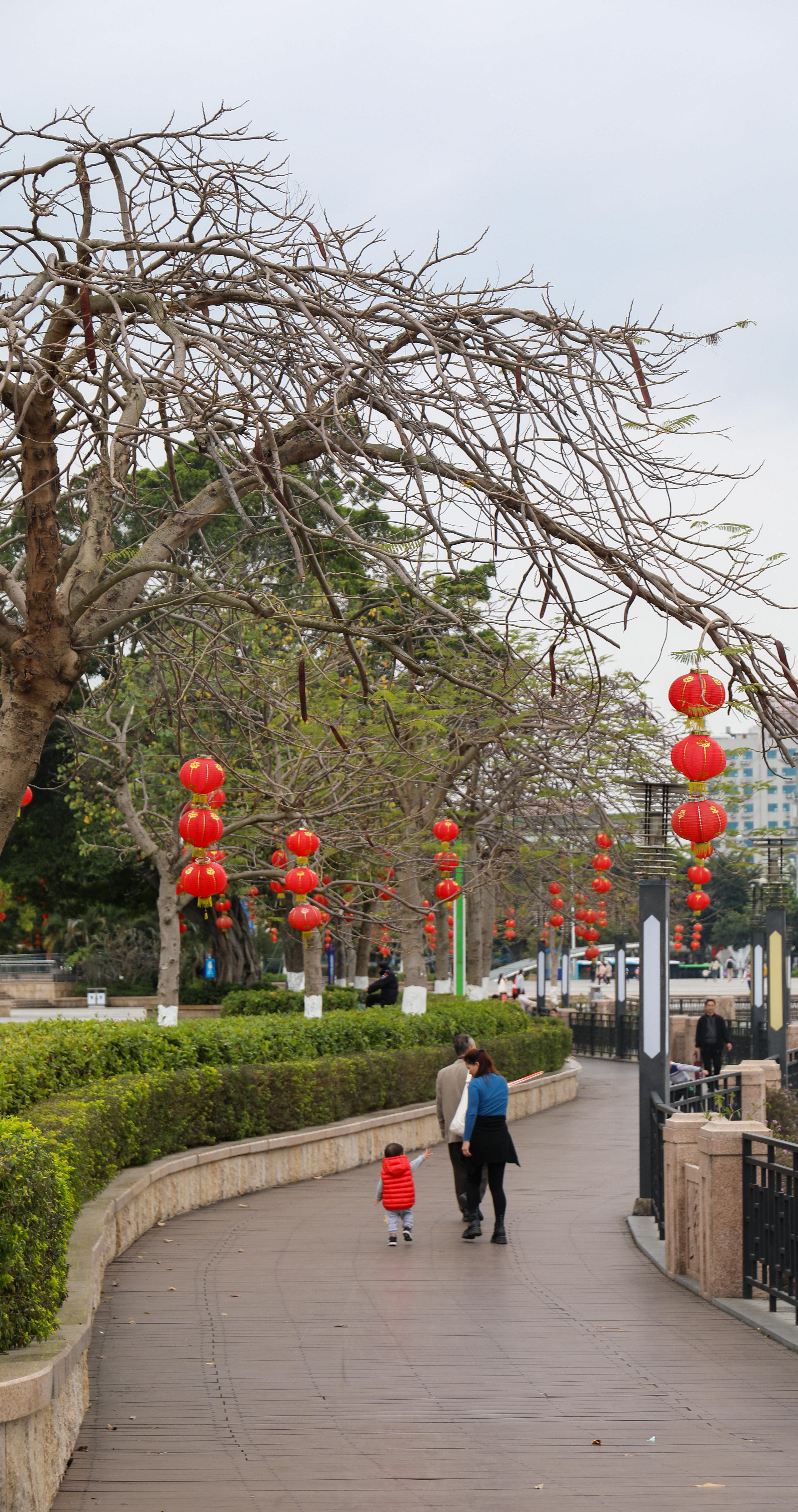 2020年春节街道照片图片