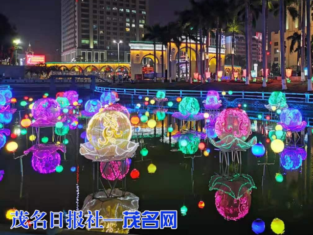 视频丨留茂过年感受茂名不一样的年味