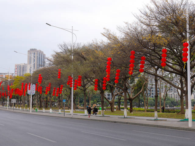 图集 | 灯笼挂，年味起！肇庆春节氛围“拉满”！