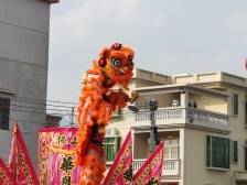 满载年味而来，广州1500场惠民活动“拍了拍”你（附表单）