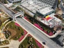 花城看花，花在从化丨从化新春文旅指南①