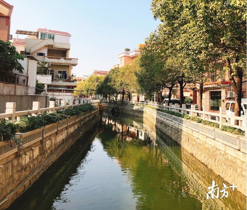 周溪排水渠整治后 周溪排水渠整治后