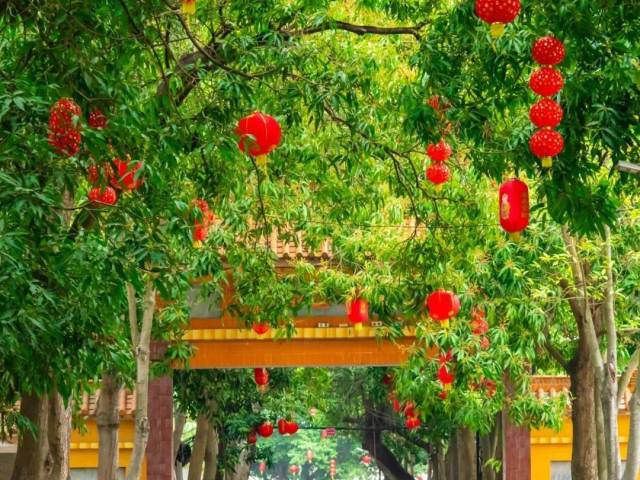 挂灯笼，年味浓！台山正当红！