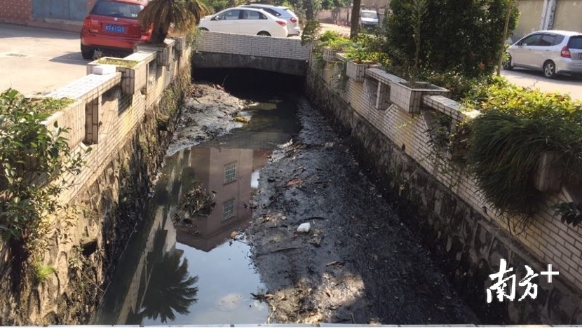 周溪排水渠整治前 周溪排水渠整治前