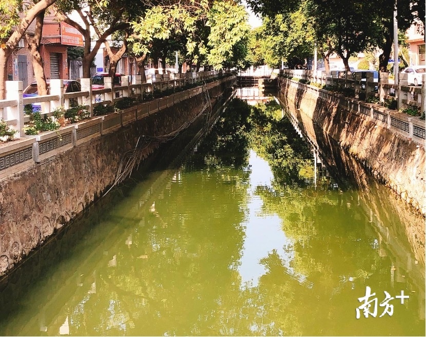 周溪排水渠整治后 周溪排水渠整治后