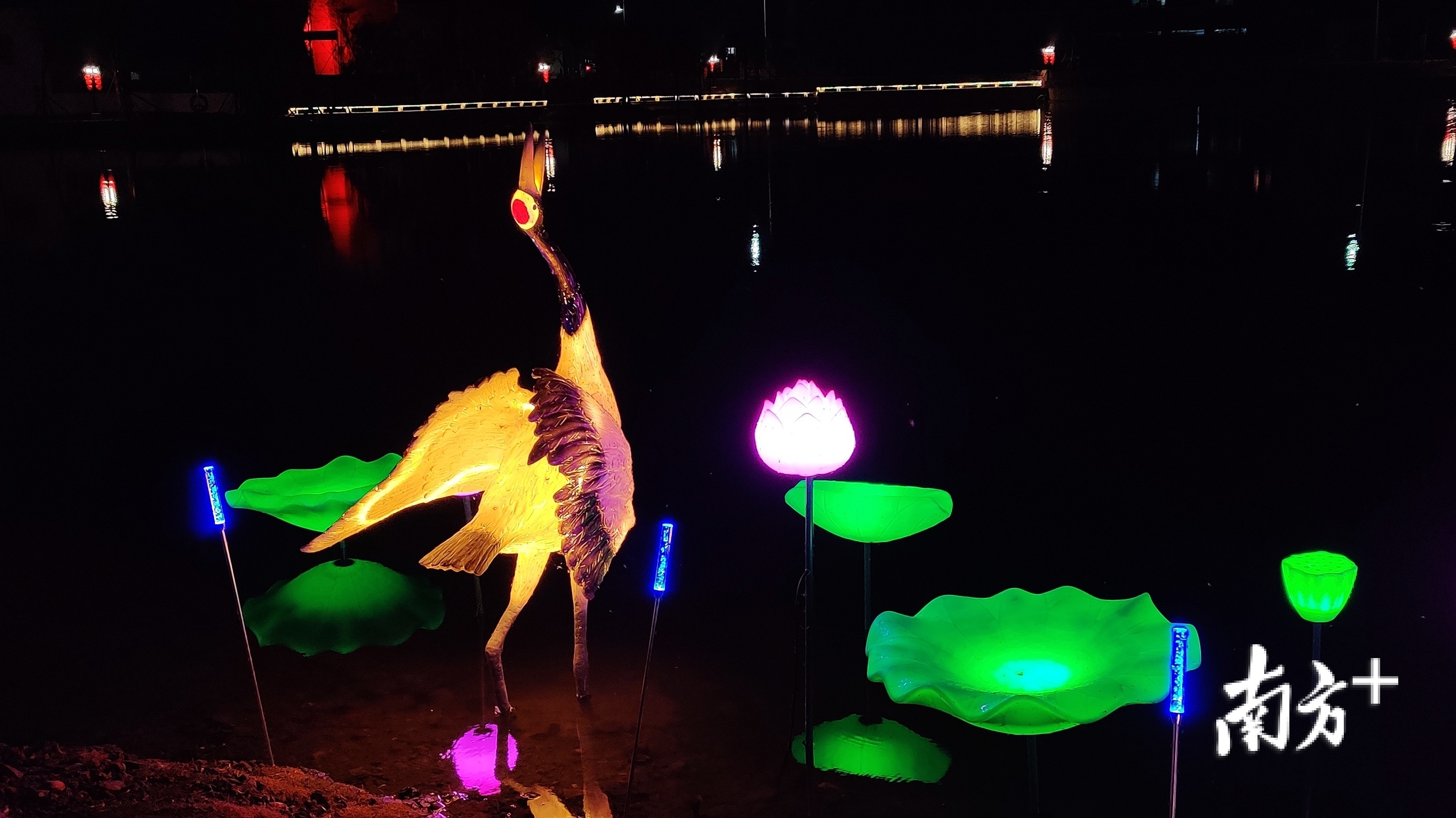 荷塘月色道路旁的装饰灯,独具水乡风情。戴惠甜 摄 荷塘月色道路旁的装饰灯,独具水乡风情。戴惠甜 摄