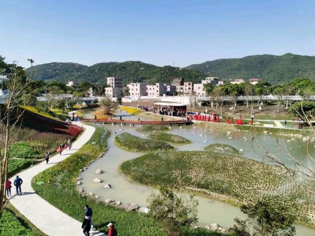 留在金湾过大年，新春文体旅游活动收藏级全攻略来啦