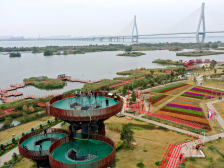 Vlog|琴澳风情，免费畅游！芒洲湿地公园邀你春节七天乐