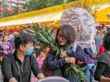 留穗过年去哪里？去广州这些美丽乡村观花、买花