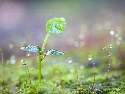 辞旧迎新，养生从“头”开始